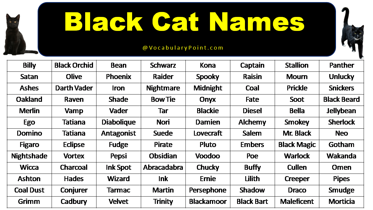 200+ Best Black Cat Names (Unique & Badass) - Vocabulary Point