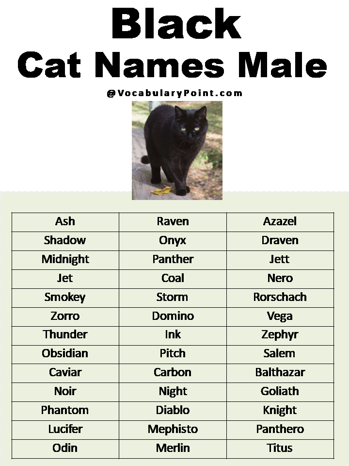 Black Cat Names Male
