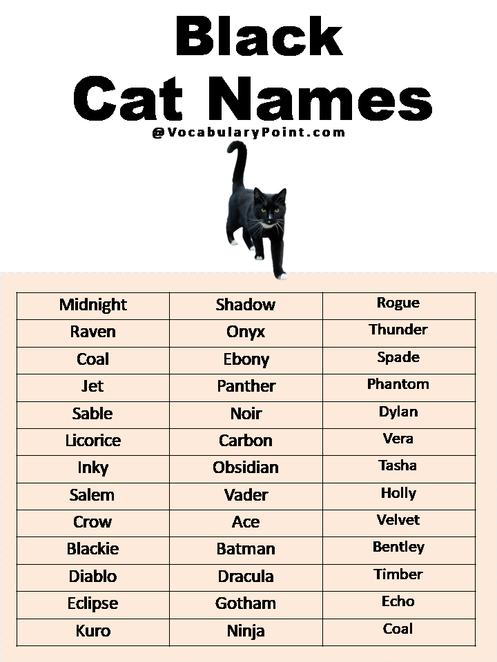 500 Most Popular Cat Names In English Vocabulary Point 