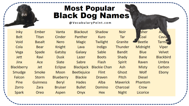 Most Popular Black Dog Names - Vocabulary Point