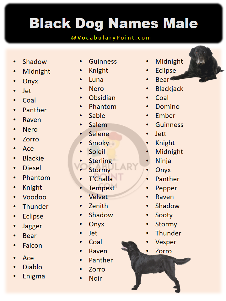 Black Dog Names Male