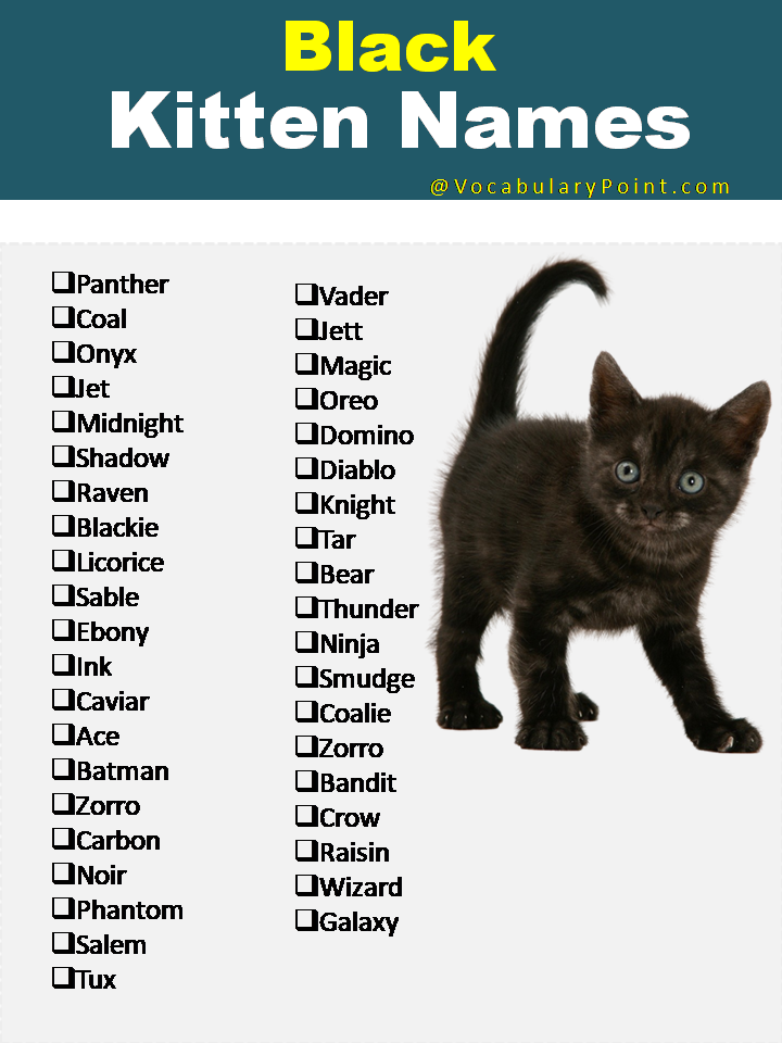 Black Kitten Names