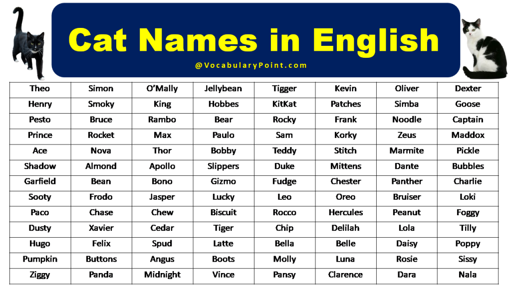 500+ Most Popular Cat Names in English Vocabulary Point