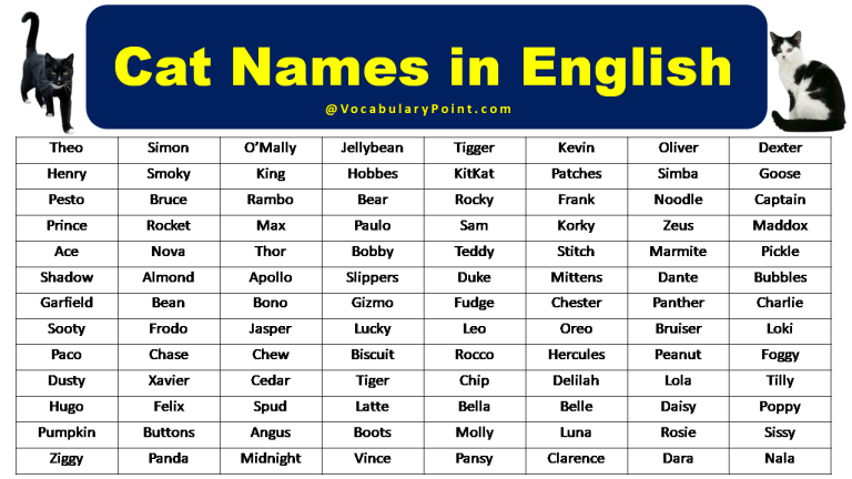 650-female-cat-names-girl-cat-names-cat-names-unique-cat-names