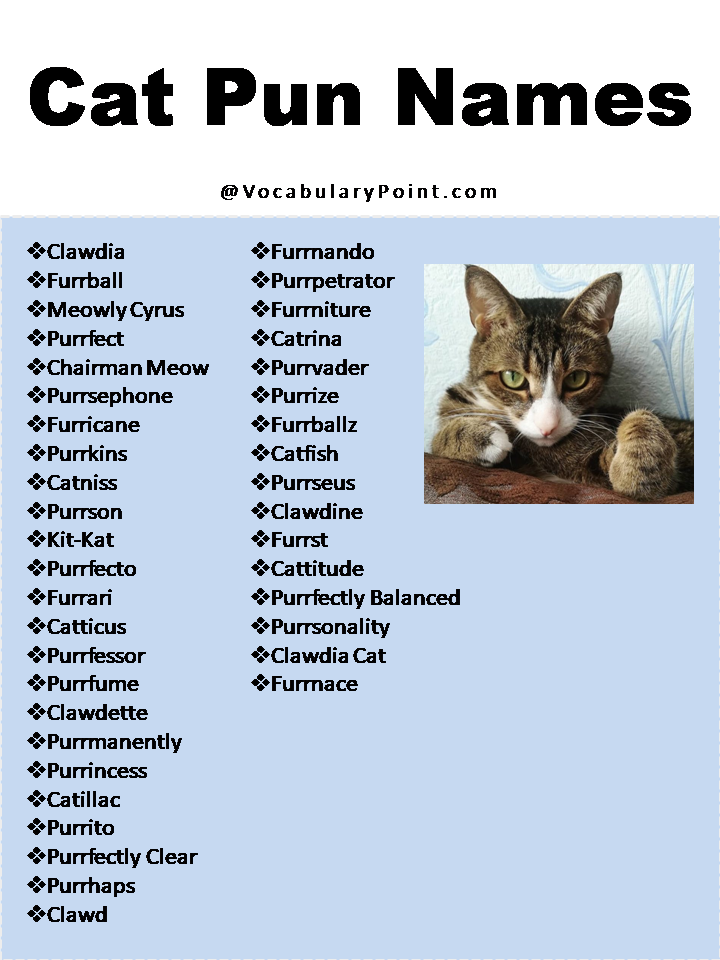Cat Pun Names