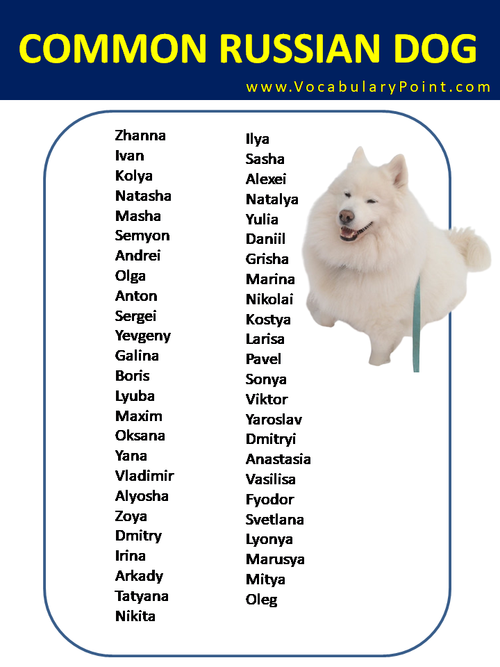 Most Popular Russian Dog Names Vocabulary Point