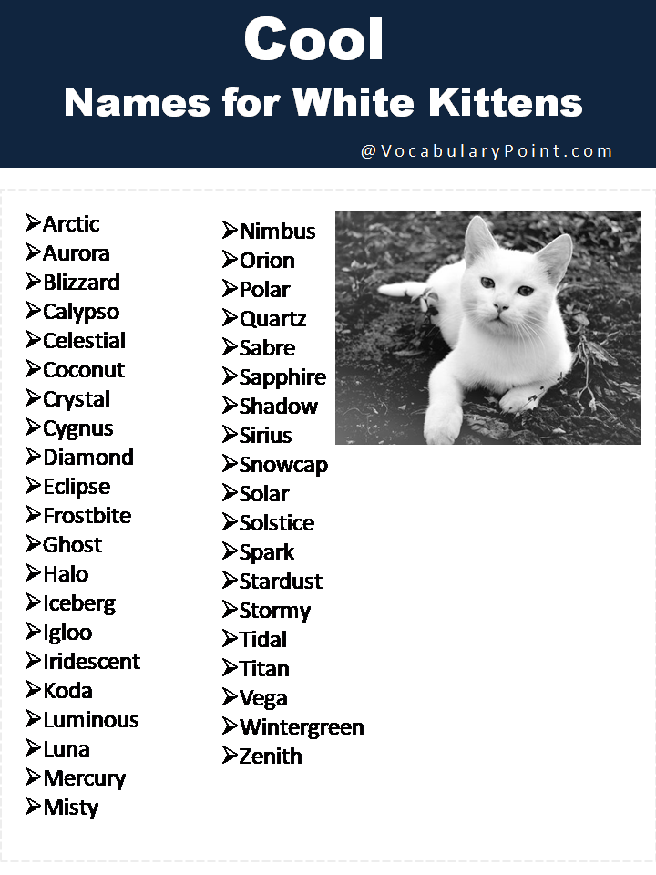 Cool Names for White Kittens