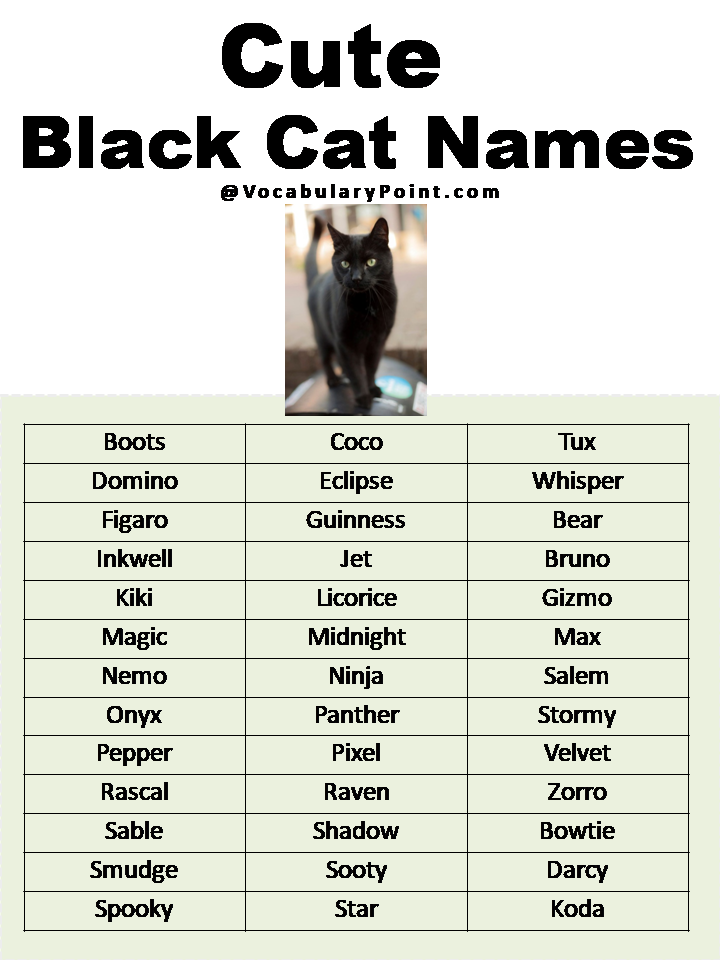 Cute Black Cat Names