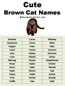 Most Popular Cute Cat Names - Vocabulary Point