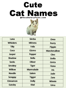 500+ Most Popular Cat Names in English - Vocabulary Point