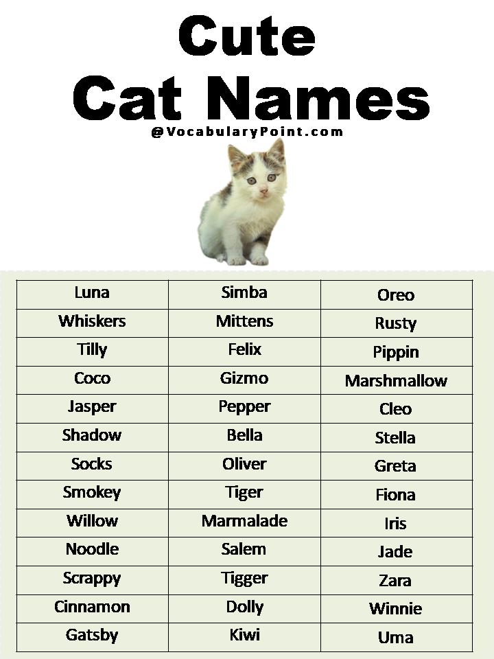 500 Most Popular Cat Names In English Vocabulary Point 1367