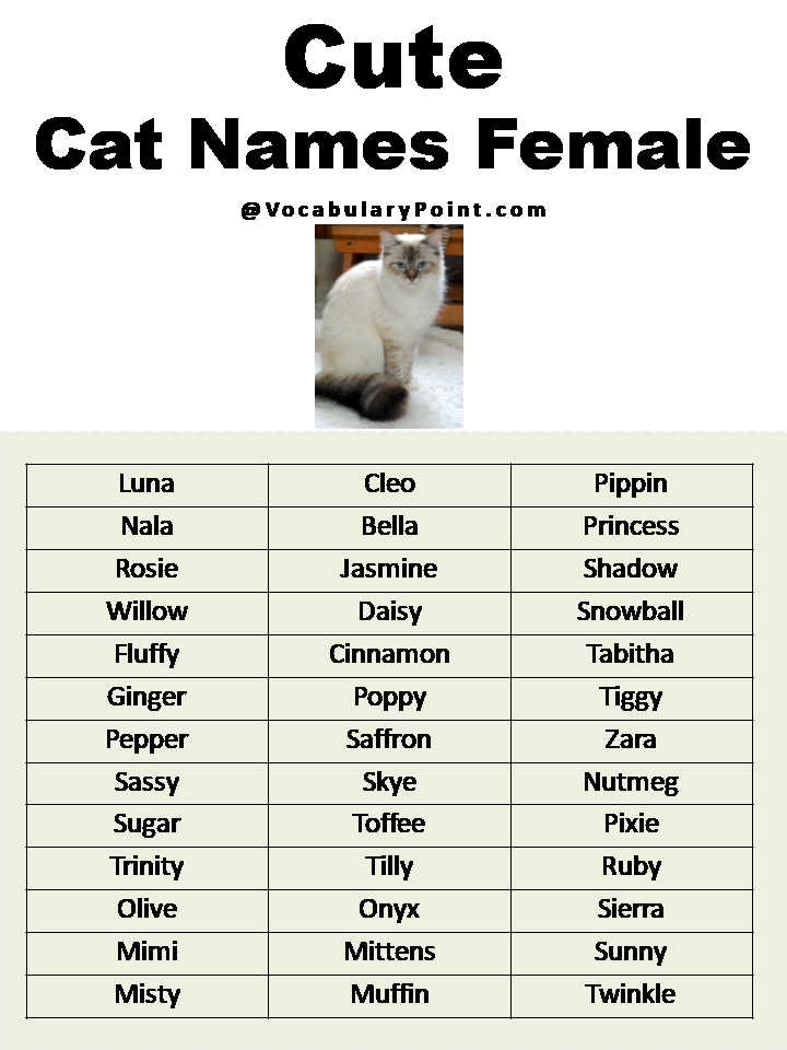 Cute Cat Names Female