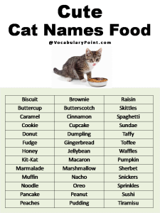 Most Popular Cute Cat Names - Vocabulary Point