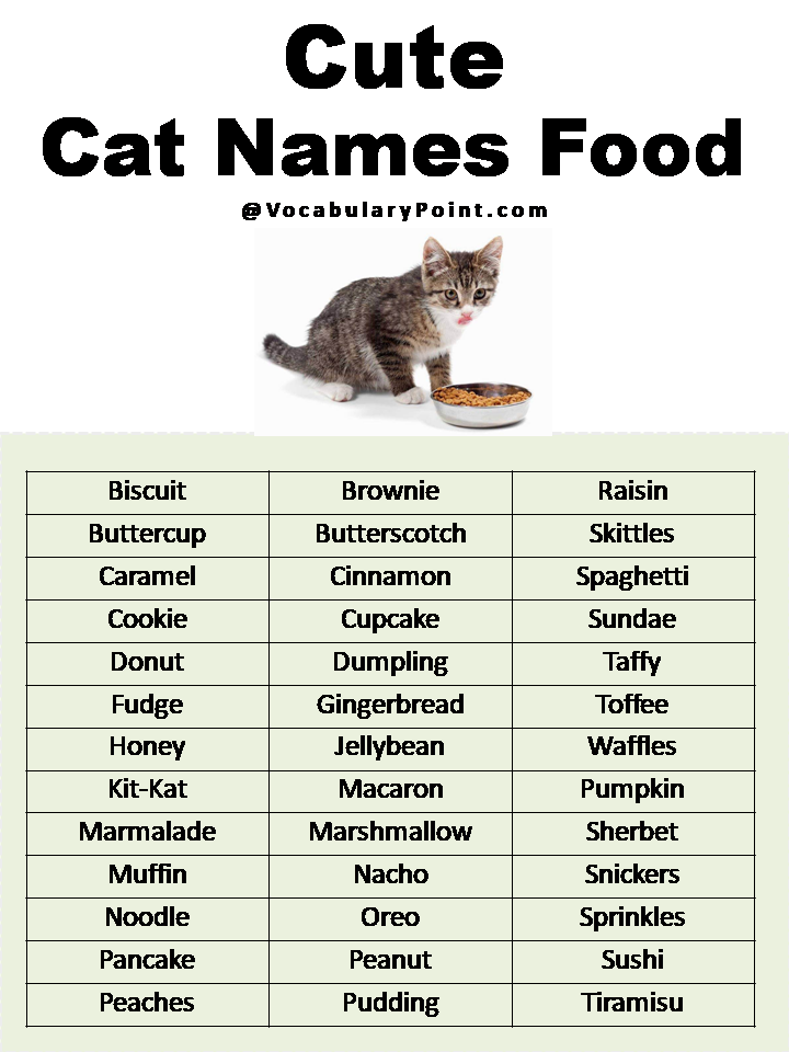 Cute Cat Names Food