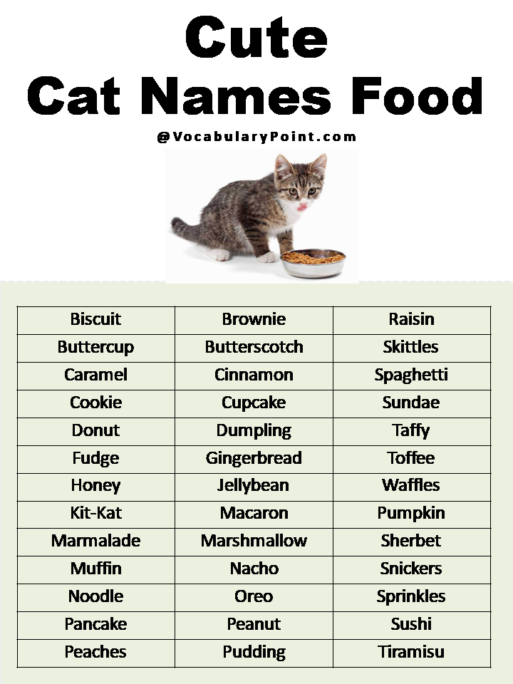 Most Popular Cute Cat Names Vocabulary Point