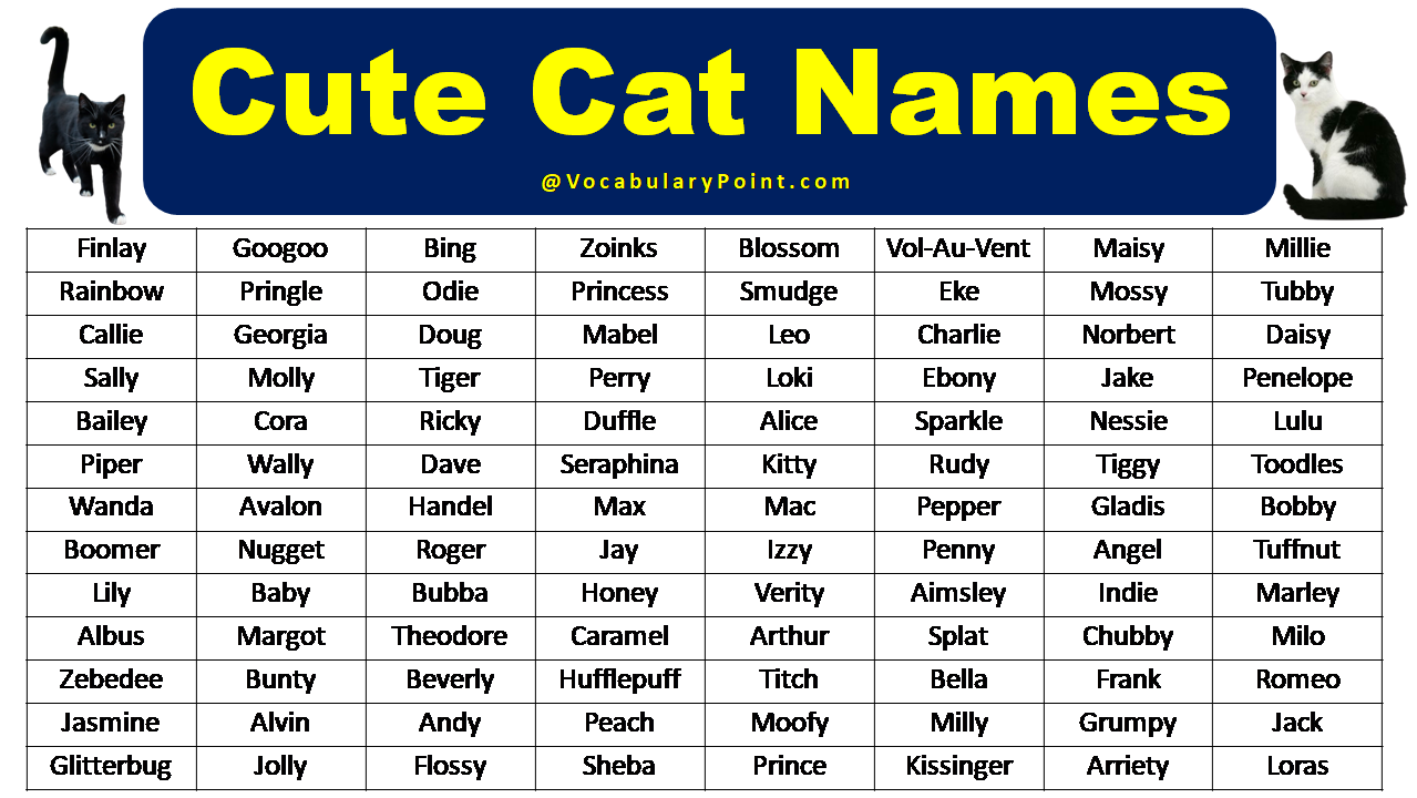 What Are The Top 10 Cat Names at Peter Killian blog