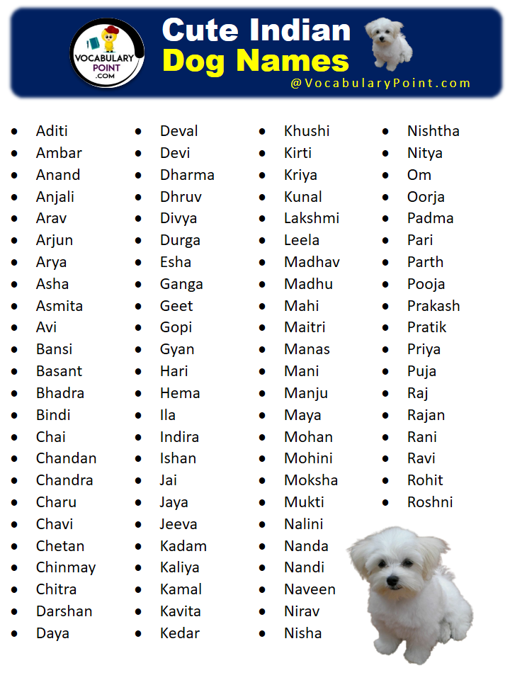 Cute Indian Dog Names