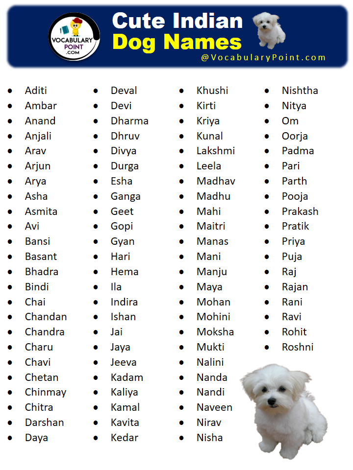 550 Cute Indian Dog Names Male And Female Vocabulary Point