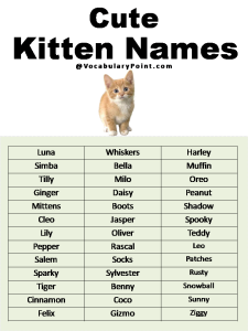 Most Popular Cute Cat Names - Vocabulary Point