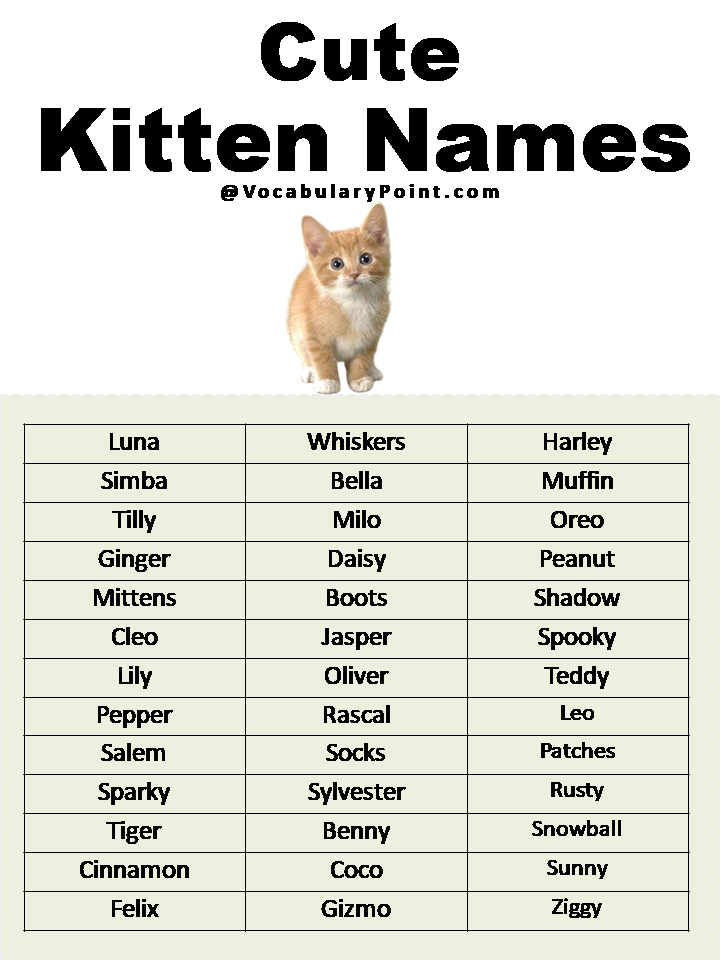 Cute Dog And Cat Names Infoupdate