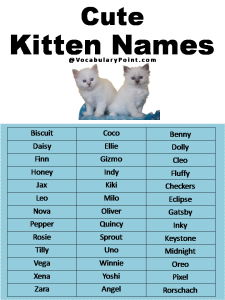 500+ Most Popular Cat Names in English - Vocabulary Point