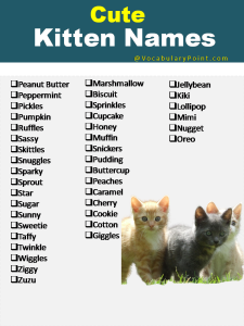 270+ Funny and Cute Names for Kittens 2024 - Vocabulary Point