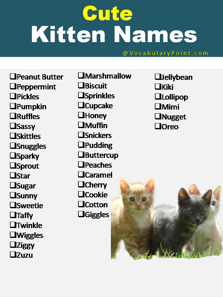Cute Kitten Names