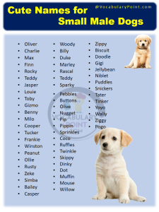 200+ Cutest Small Dog Names - Vocabulary Point