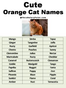 Most Popular Cute Cat Names - Vocabulary Point