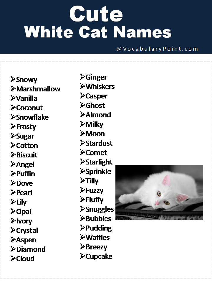 Cute White Cat Names