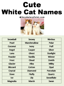 Most Popular Cute Cat Names - Vocabulary Point