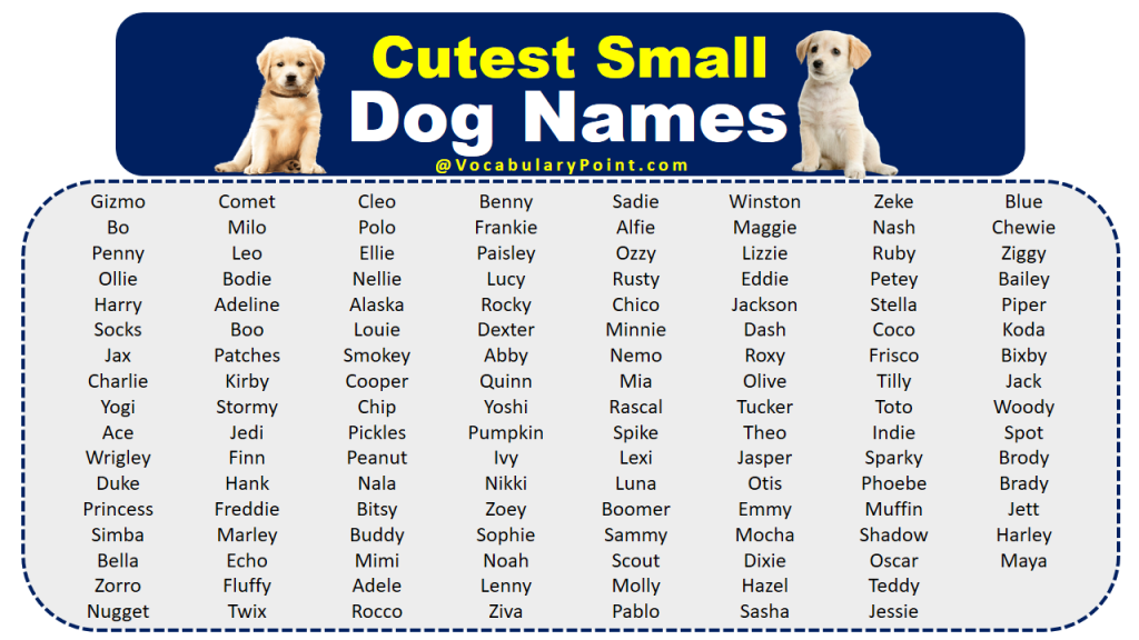 200+ Cutest Small Dog Names - Vocabulary Point