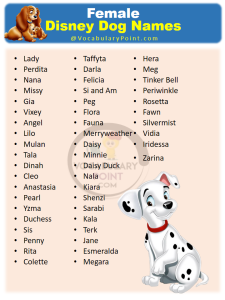 400+ Magical Disney Dog Names - Vocabulary Point