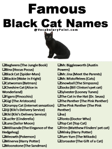 200+ Best Black Cat Names (Unique & Badass) - Vocabulary Point