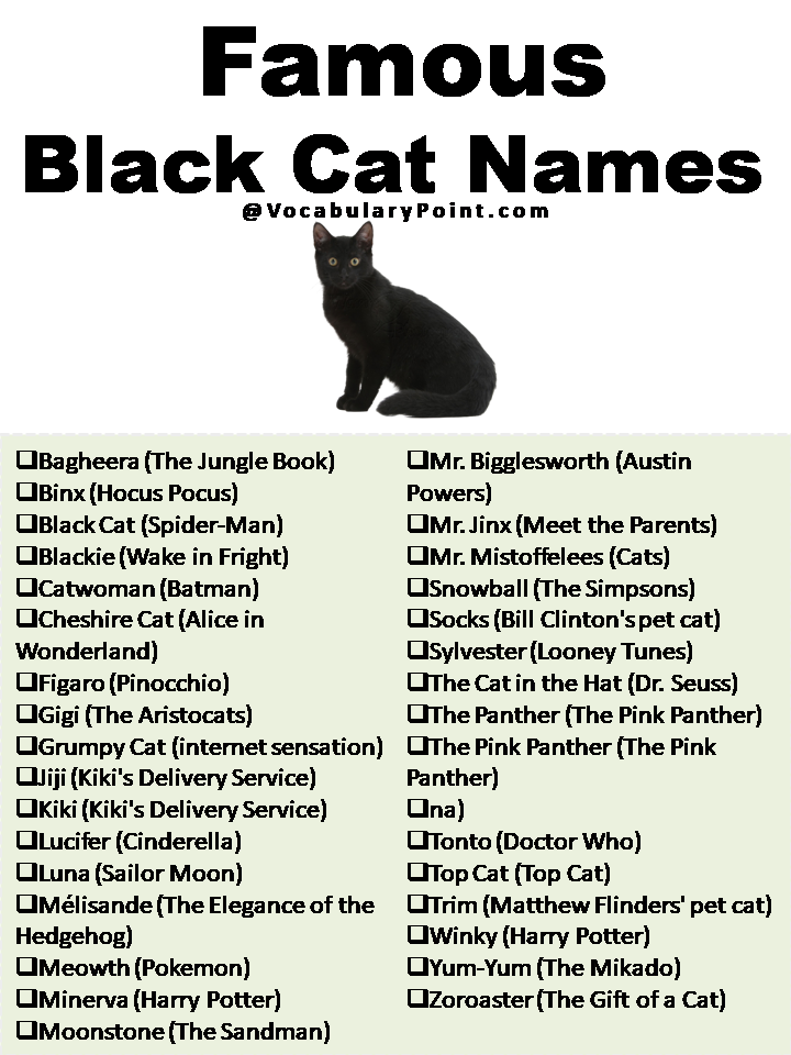 Famous Black Cat Names