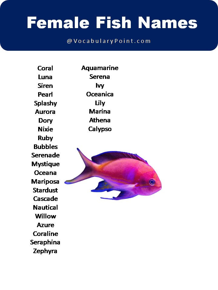 Best Fish Name Ideas (Sea and American Fish Names) - Vocabulary Point