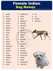 550+ Cute Indian Dog Names (Male and Female) - Vocabulary Point
