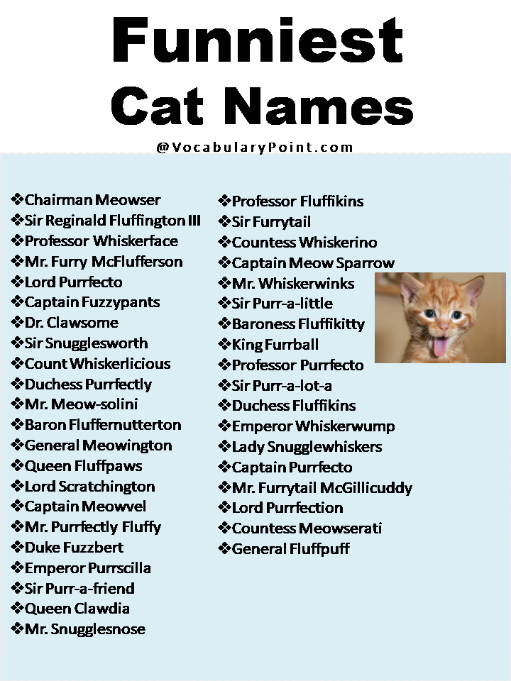 Funniest Cat Names