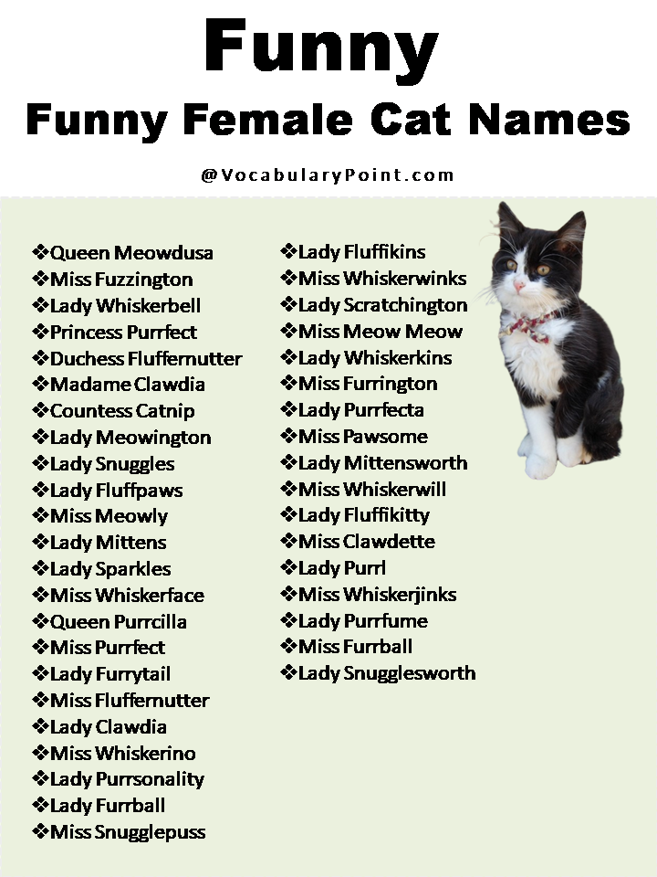 Funny Female Cat Names