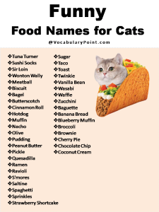 270+ Funny And Cute Cat Names - Vocabulary Point