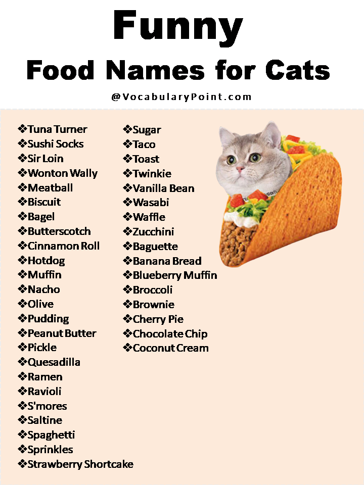 270 Funny And Cute Cat Names Vocabulary Point 270-funny-and-cute-cat-names-vocabulary-point