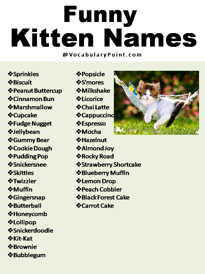 Funny Kitten Names