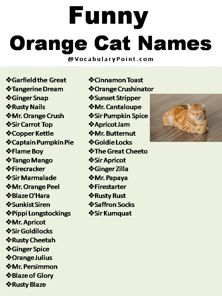 Funny Orange Cat Names