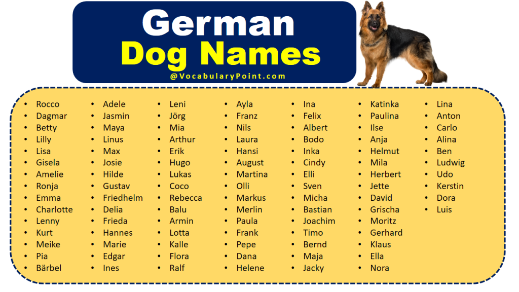 good-german-dog-names-german-dog-names-dog-names-german-dogs