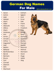 350+ Most Popular German Dog Names - Vocabulary Point