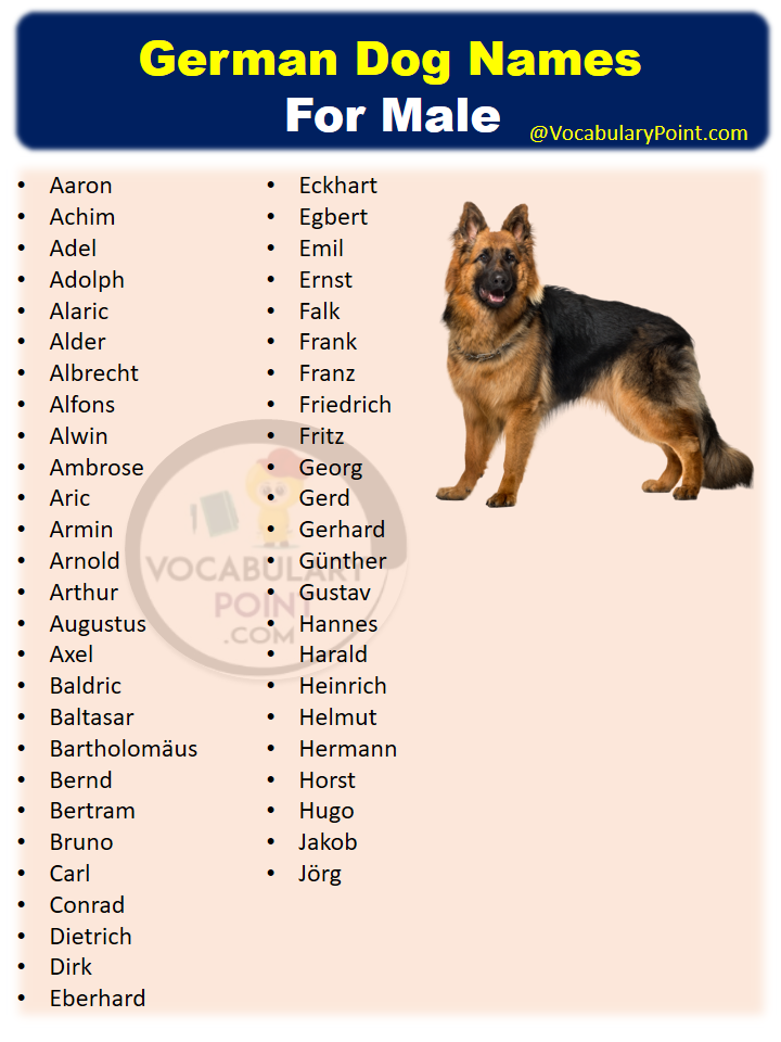 German Dog Names for Male