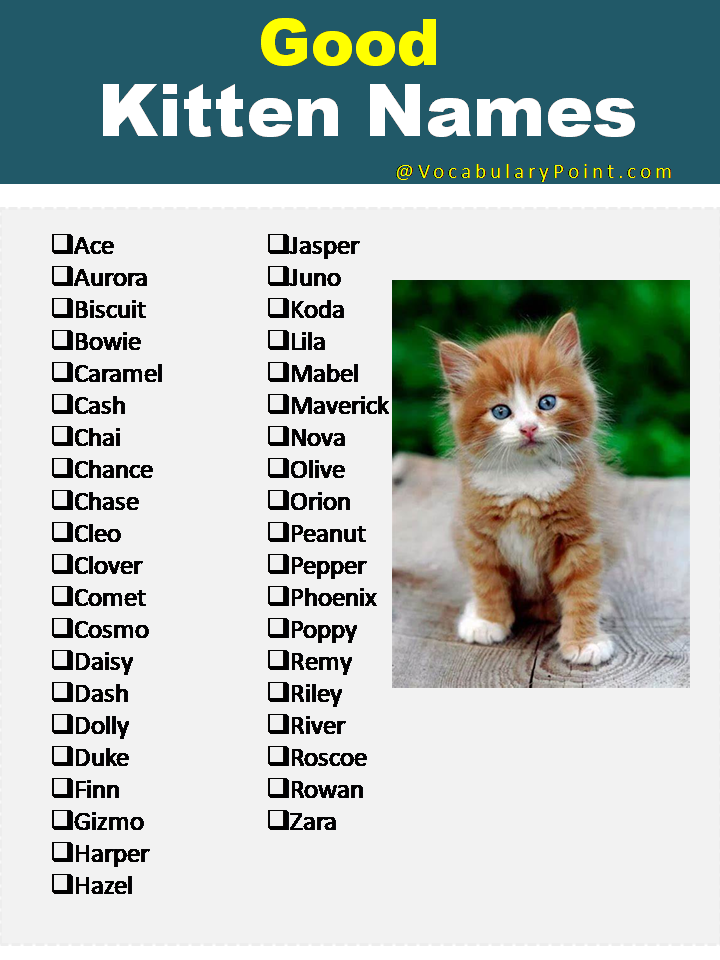 Good Kitten Names