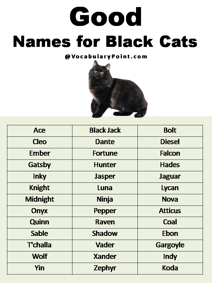 Good Names for Black Cats