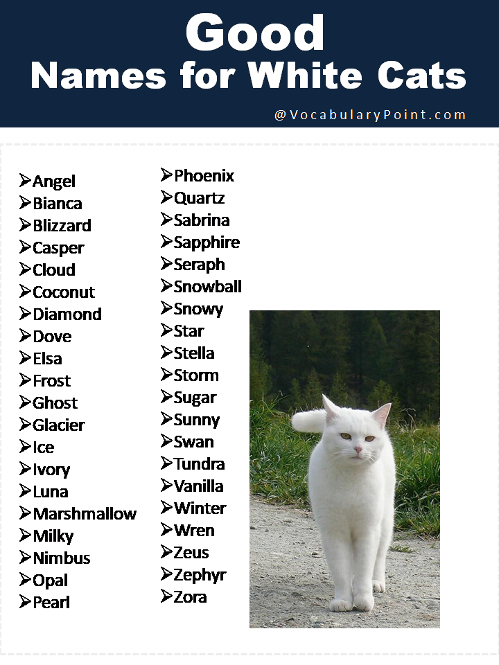 Good Names for White Cats