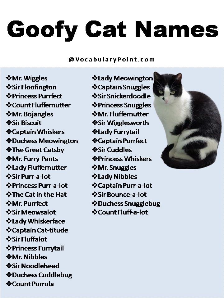 270+ Funny And Cute Cat Names - Vocabulary Point